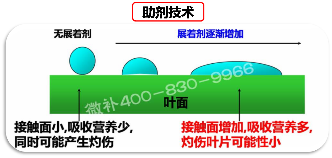 余教授德國鄉村行：我在德國為什么不會(huì )點(diǎn)啤酒了？
