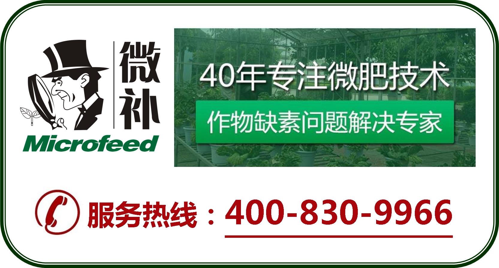 余教授德國鄉村行：摩澤爾河的葡萄魅力在哪兒？